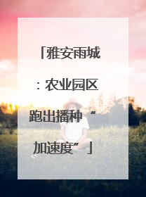 雅安雨城：农业园区跑出播种“加速度”