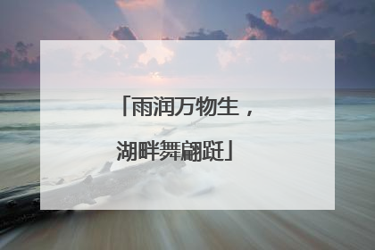 雨润万物生，湖畔舞翩跹