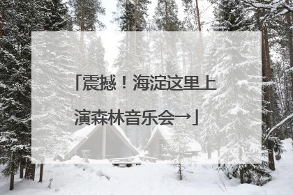 震撼！海淀这里上演森林音乐会→