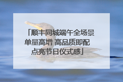 顺丰同城端午全场景单量高增 高品质即配点亮节日仪式感