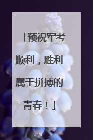 预祝军考顺利，胜利属于拼搏的青春！