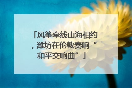 风筝牵线山海相约，潍坊在伦敦奏响“和平交响曲”