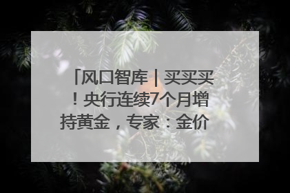 风口智库｜买买买！央行连续7个月增持黄金，专家：金价或仍易涨难跌