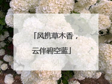 风携草木香，云伴碧空蓝