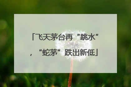 飞天茅台再“跳水”，“蛇茅”跌出新低