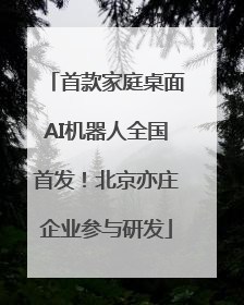 首款家庭桌面AI机器人全国首发！北京亦庄企业参与研发