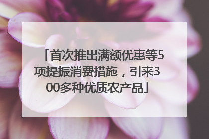 首次推出满额优惠等5项提振消费措施，引来300多种优质农产品