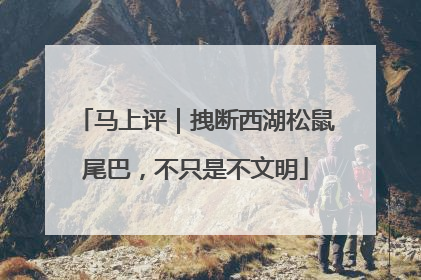 马上评｜拽断西湖松鼠尾巴，不只是不文明