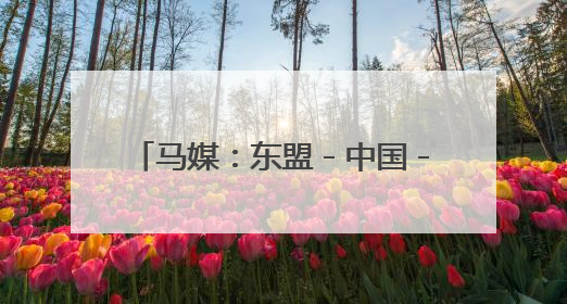 马媒：东盟－中国－海合会峰会助力释放多边合作巨大潜能