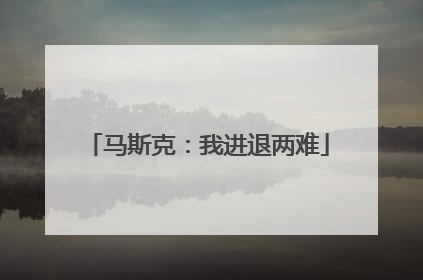 马斯克：我进退两难