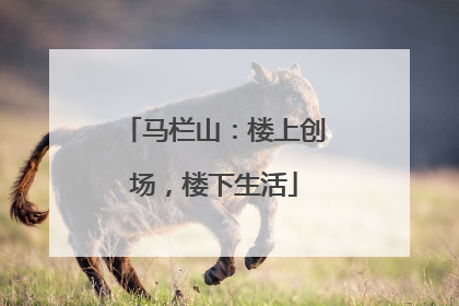 马栏山：楼上创场，楼下生活