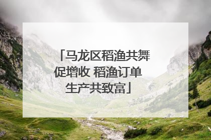 马龙区稻渔共舞促增收 稻渔订单生产共致富