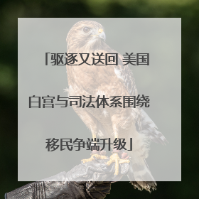 驱逐又送回 美国白宫与司法体系围绕移民争端升级