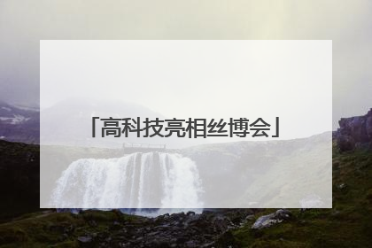 高科技亮相丝博会