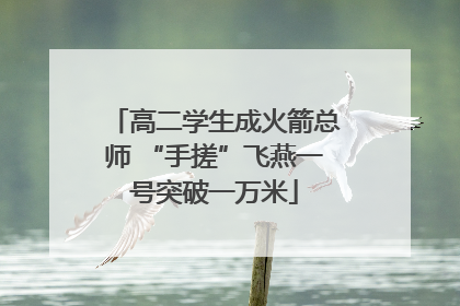 高二学生成火箭总师 “手搓”飞燕一号突破一万米
