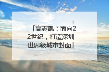 高志凯：面向22世纪，打造深圳世界级城市封面