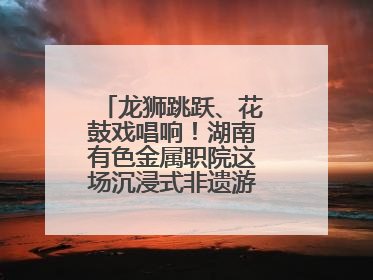 龙狮跳跃、花鼓戏唱响！湖南有色金属职院这场沉浸式非遗游园活动很带感