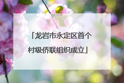 龙岩市永定区首个村级侨联组织成立