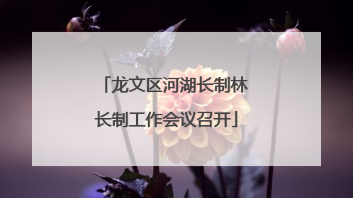 龙文区河湖长制林长制工作会议召开
