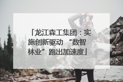 龙江森工集团：实施创新驱动 “数智林业”跑出加速度