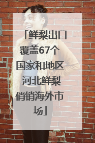 鲜梨出口覆盖67个国家和地区 河北鲜梨俏销海外市场