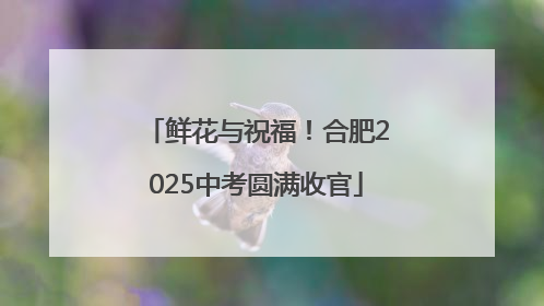 鲜花与祝福！合肥2025中考圆满收官