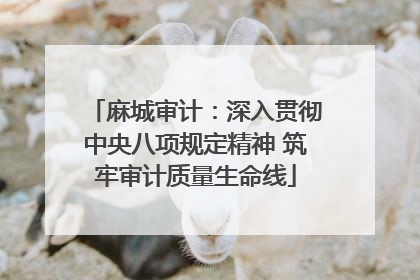 麻城审计：深入贯彻中央八项规定精神 筑牢审计质量生命线