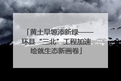 黄土旱塬添新绿——环县“三北”工程加速绘就生态新画卷