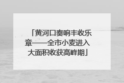 黄河口奏响丰收乐章——全市小麦进入大面积收获高峰期