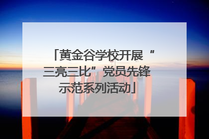 黄金谷学校开展“三亮三比”党员先锋示范系列活动