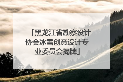 黑龙江省勘察设计协会冰雪创意设计专业委员会揭牌