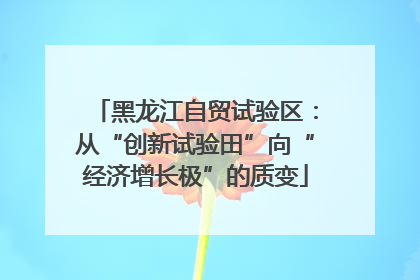 黑龙江自贸试验区：从“创新试验田”向“经济增长极”的质变