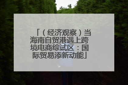 （经济观察）当海南自贸港遇上跨境电商综试区：国际贸易添新动能