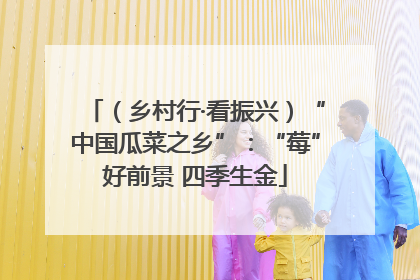 （乡村行·看振兴）“中国瓜菜之乡”：“莓”好前景 四季生金