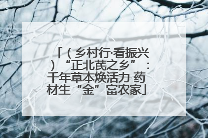 （乡村行·看振兴）“正北芪之乡”：千年草本焕活力 药材生“金”富农家