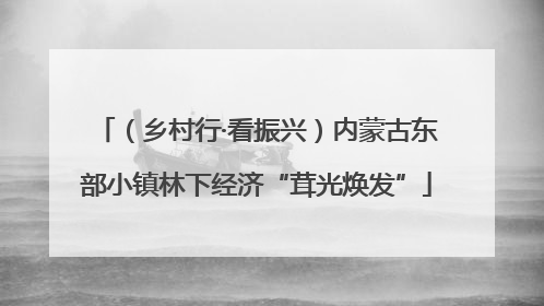 （乡村行·看振兴）内蒙古东部小镇林下经济“茸光焕发”