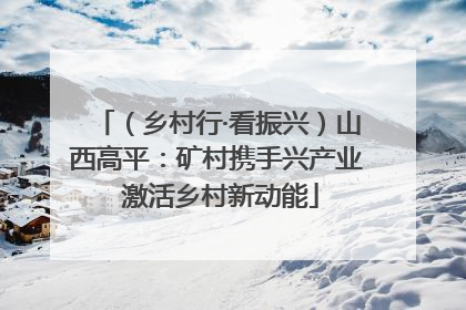 （乡村行·看振兴）山西高平：矿村携手兴产业 激活乡村新动能