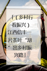 （乡村行·看振兴）江西信丰一片茶叶“沏”出乡村振兴路