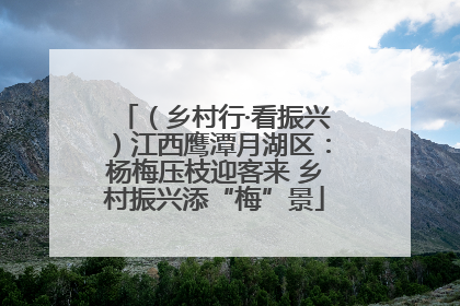 （乡村行·看振兴）江西鹰潭月湖区：杨梅压枝迎客来 乡村振兴添“梅”景