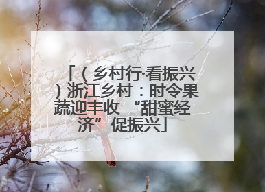 （乡村行·看振兴）浙江乡村：时令果蔬迎丰收 “甜蜜经济”促振兴