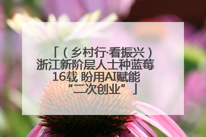 （乡村行·看振兴）浙江新阶层人士种蓝莓16载 盼用AI赋能“二次创业”