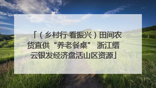 （乡村行·看振兴）田间农货直供“养老餐桌” 浙江缙云银发经济盘活山区资源