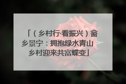 （乡村行·看振兴）畲乡景宁：拥抱绿水青山 乡村迎来共富蝶变