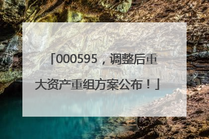 000595，调整后重大资产重组方案公布！