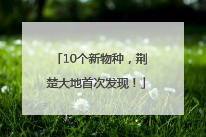 10个新物种，荆楚大地首次发现！