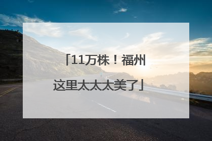 11万株！福州这里太太太美了