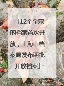 12个全宗的档案首次开放，上海市档案局发布两批开放档案