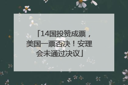 14国投赞成票，美国一票否决！安理会未通过决议