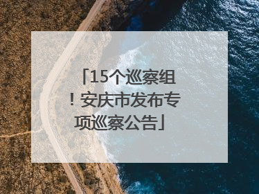 15个巡察组！安庆市发布专项巡察公告