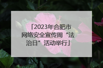 2023年合肥市网络安全宣传周“法治日”活动举行